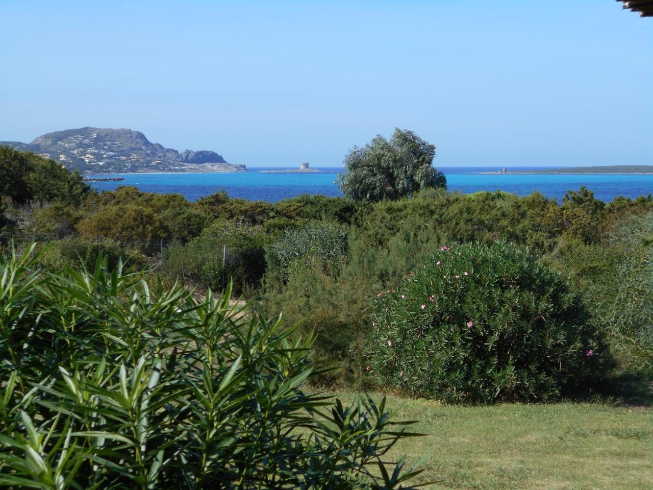 Le Case Punta Negra Villa Stintino Luaran gambar