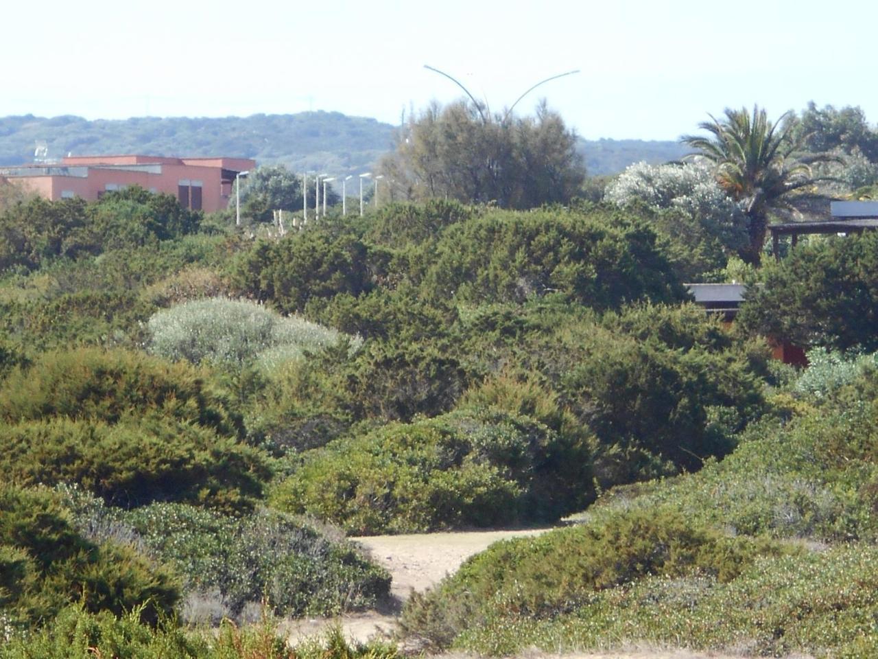 Le Case Punta Negra Stintino Luaran gambar